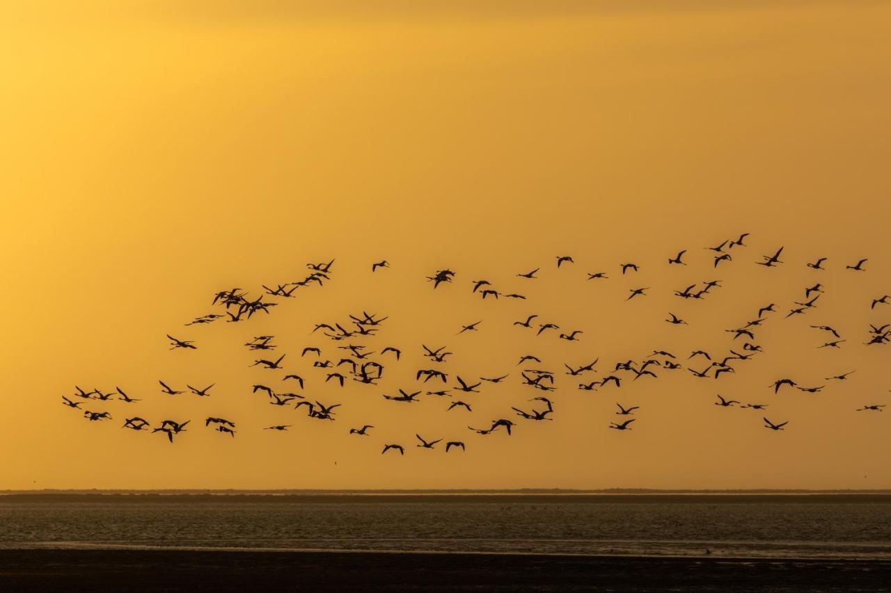 Flamingo Villas Boutique Hotel Walvis Bay Esterno foto